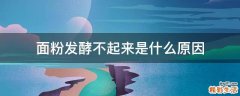面粉发酵不起来是什么原因