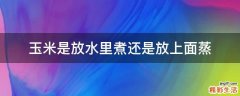 玉米是放水里煮还是放上面蒸
