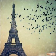 眼睛保健方法_如何保健眼睛