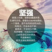 6 阳光天使“坏女人”刘梓研美白护肤经