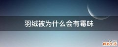 羽绒被为什么会有霉味