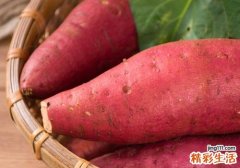 红薯吃多了会上火 红薯什么时候吃比较好