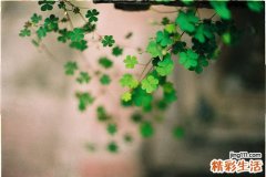 2 4个心理策略 转工作压力为动力