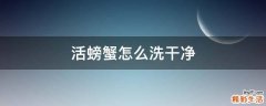 活螃蟹怎么洗干净