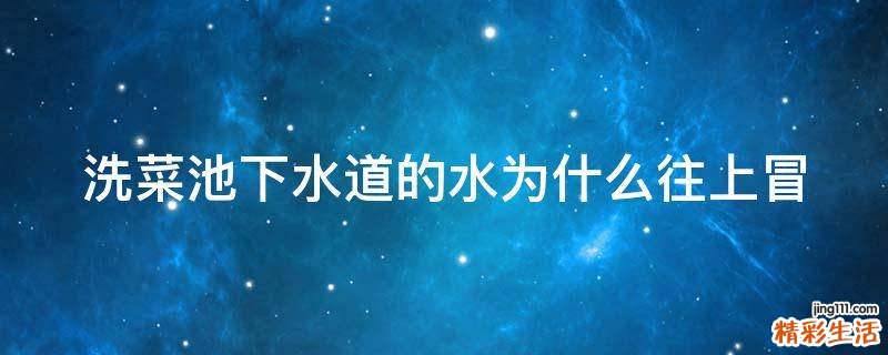 洗菜池下水道的水为什么往上冒
