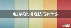电炖锅的挑选技巧有什么