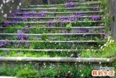 夏季该怎么护发