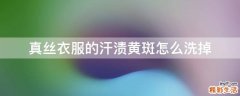 真丝衣服的汗渍黄斑怎么洗掉