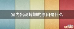 室内出现蟑螂的原因是什么