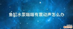 鱼缸水泵嗡嗡有震动声怎么办