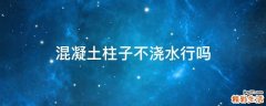 混凝土柱子不浇水行吗