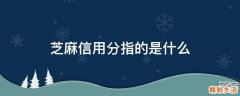 芝麻信用分指的是什么