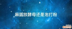 麻圆放酵母还是泡打粉