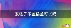 煮粽子不盖锅盖可以吗