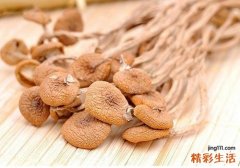 茶树菇的营养价值