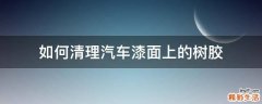如何清理汽车漆面上的树胶