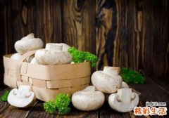 什么蘑菇营养价值最高 这6种菌菇可别错过