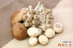 草八珍是什么 这八个都属于山上的菌类