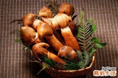 菌类的营养价值 菌类是酸性还是碱性