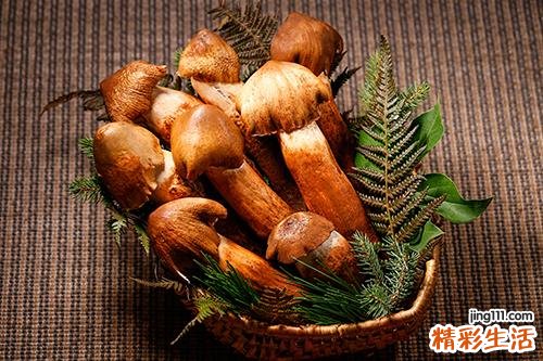 菌类的营养价值 菌类是酸性还是碱性
