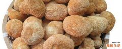 猴头菌有什么作用 猴头菌有什么营养价值