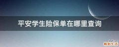 平安学生险保单在哪里查询