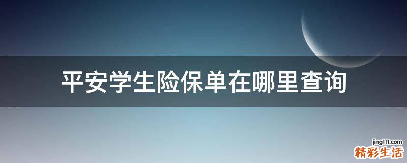 平安学生险保单在哪里查询