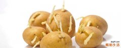 土豆发芽了还能吃