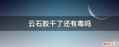 云石胶干了还有毒吗