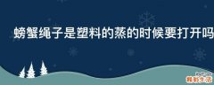 螃蟹绳子是塑料的蒸的时候要打开吗