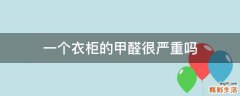 一个衣柜的甲醛很严重吗