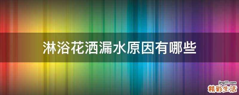 淋浴花洒漏水原因有哪些