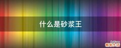 什么是砂浆王