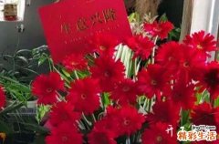 2023年8月哪天开工吉利 2023年8月最吉利的开工日子