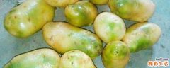 绿皮土豆怎么处理才能吃 土豆怎样保存不发芽不变绿