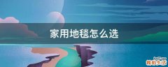 家用地毯怎么选
