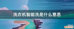 洗衣机智能洗是什么意思
