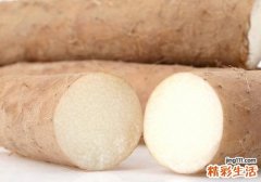 备孕期可以吃山药吗 备孕期怎么吃山药好