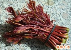 野菜可以治病吗 不同的野菜有不同的功效