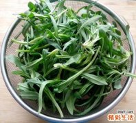 最养生的十大野菜 吃野菜3大禁忌