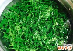 荠菜包饺子需要焯水吗 有什么好处，怎么做呢？