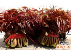 香椿没有烫怎么办 香椿怎么烫比较好