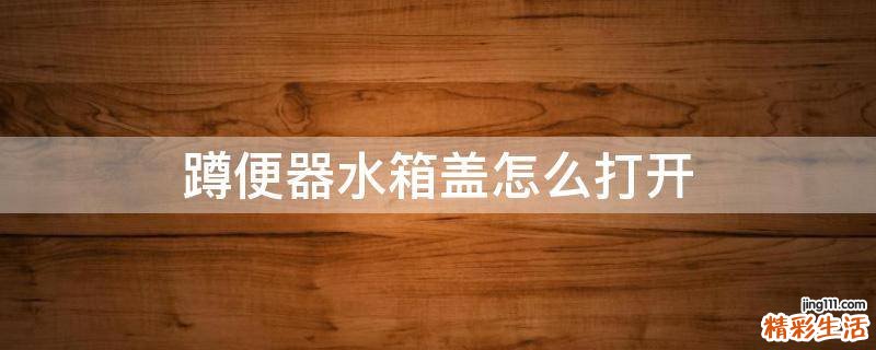 蹲便器水箱盖怎么打开
