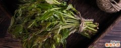 春天适合吃什么野菜 吃野菜需要注意什么