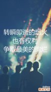 顺江木