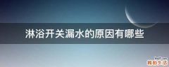 淋浴开关漏水的原因有哪些