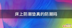 床上防潮垫真的防潮吗