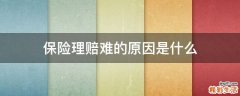 保险理赔难的原因是什么