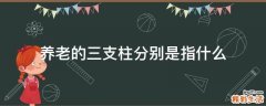 养老的三支柱分别是指什么