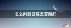 怎么判断蓝莓是否新鲜